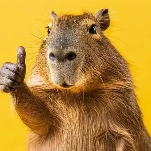 65 Ảnh Avatar Capybara Vô Tri hài hước lựa chọn hoàn hảo cho những tâm hồn lạc trôi