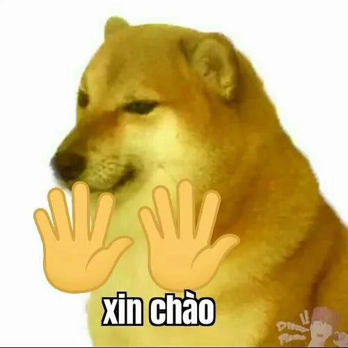 Hình profile chó vô cảm ánh nhìn độ nét cao