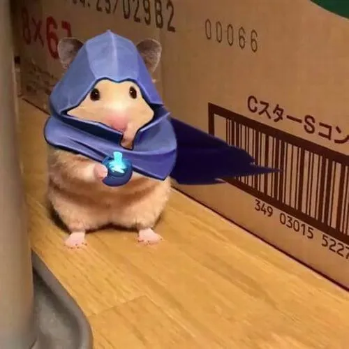 Hình đại diện cute chuột hamster ánh sáng mềm