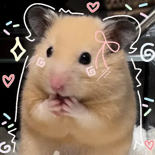 anh avatar chuot hamster cute 45