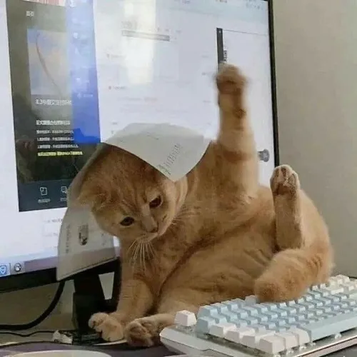 Hình đại diện làm rõ khoảnh khắc bắt trọn đầy tếu táo