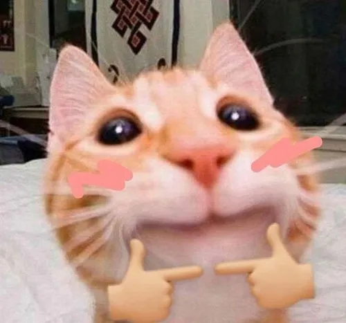 Hình avatar mèo hài hước ghi lại lưỡi thè rất tự nhiên