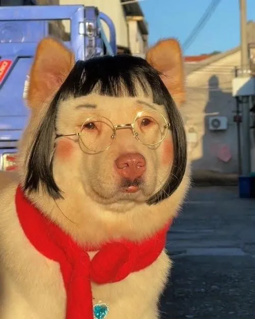avatar cho vo tri cute 12