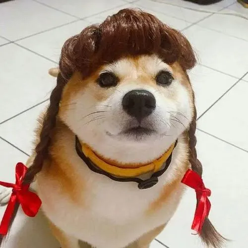 avatar cho vo tri cute 23