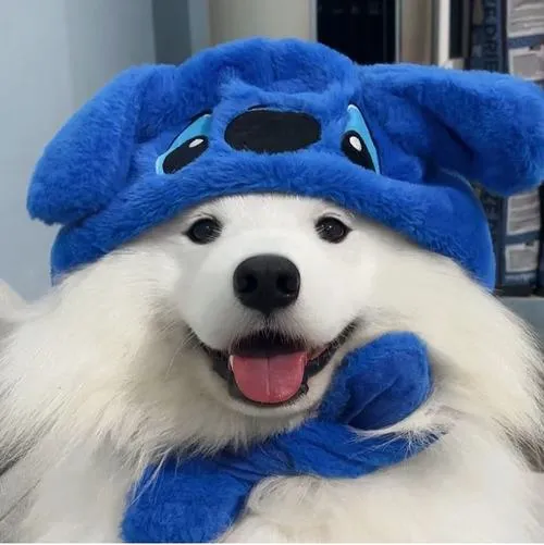 avatar cho vo tri cute 26