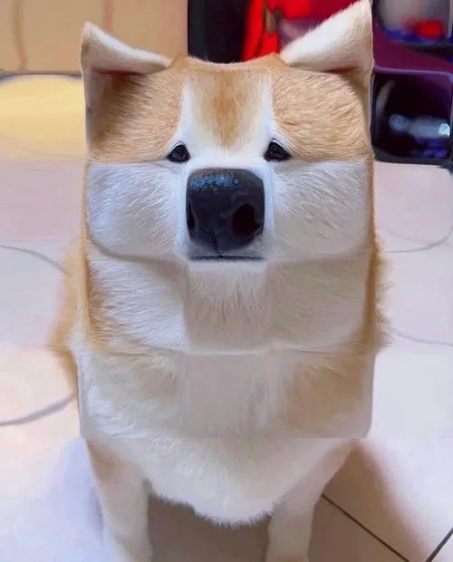 avatar cho vo tri cute 31