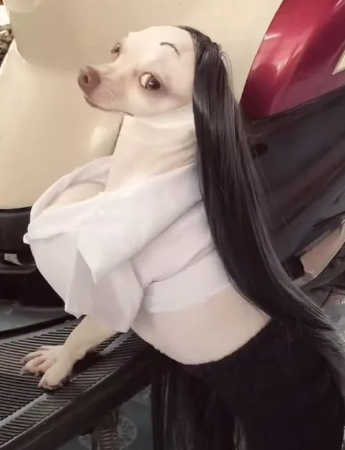 avatar cho vo tri cute 38