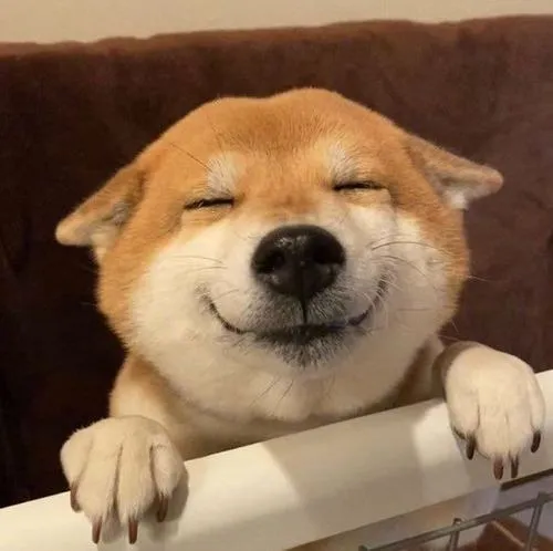 avatar cho vo tri cute 40