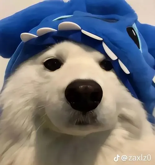 avatar cho vo tri cute 43