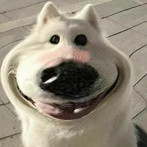 avatar cho vo tri cute 5