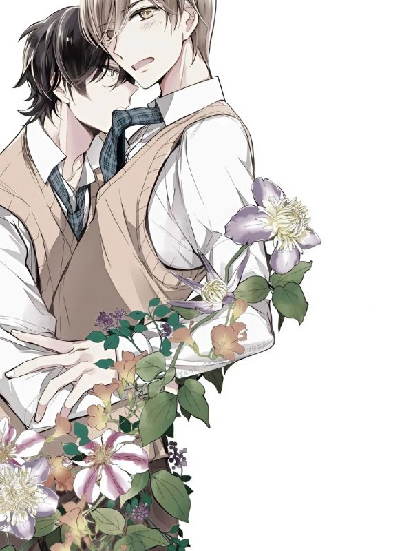 50+ Anime Boy: Đắm Chìm Vào Vũ Trụ Thể Loại Boys Love