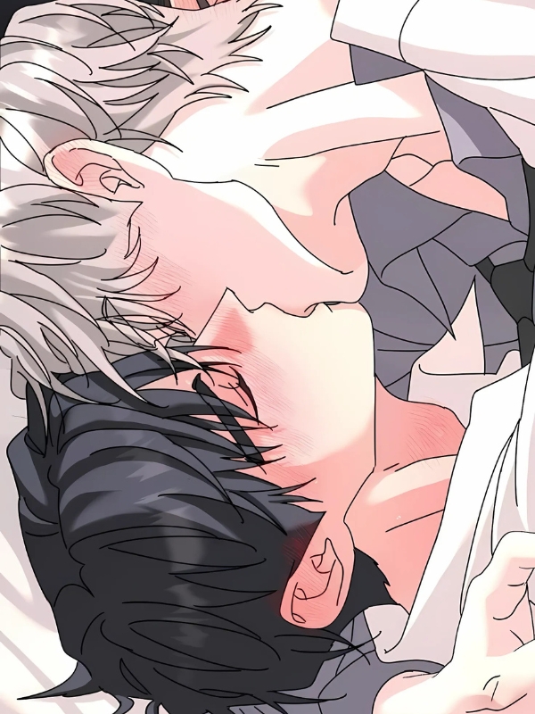 anime-dam-my-hon-10
