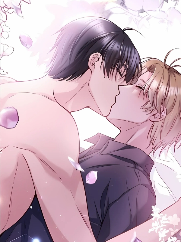 anime-dam-my-hon-8
