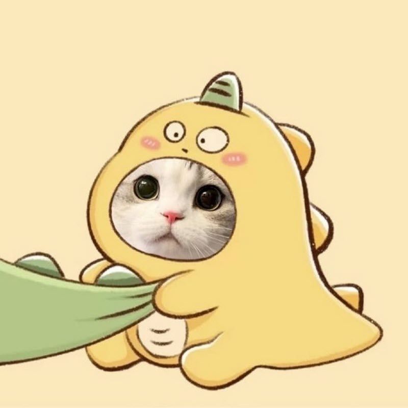 avatar-anh-meo-cute-4