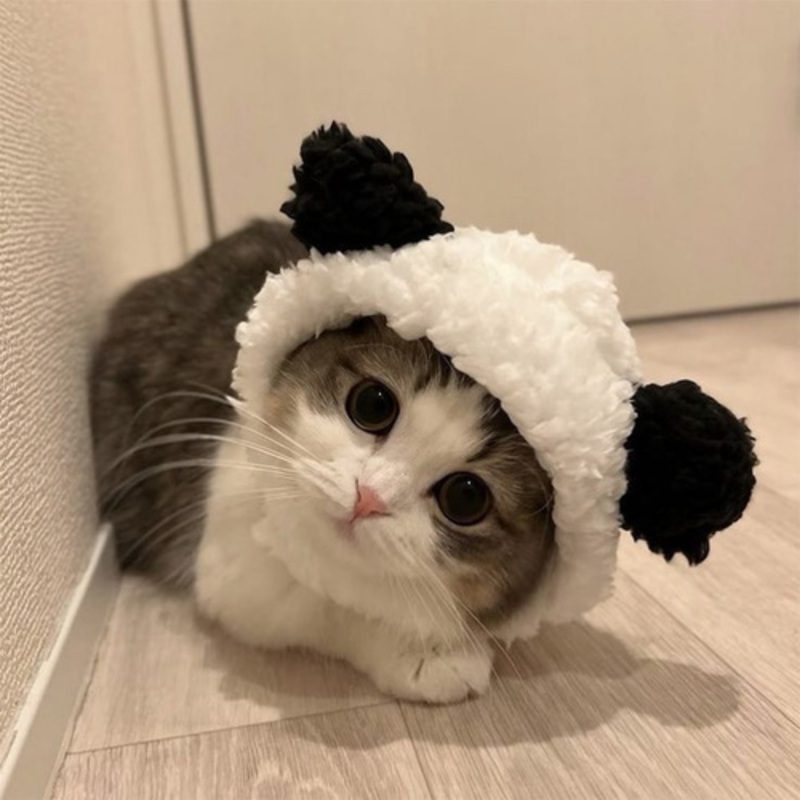 avatar-vo-tri-cute-1