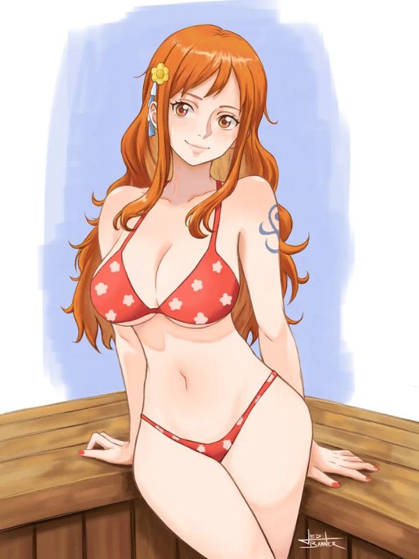 One Piece anime sexy